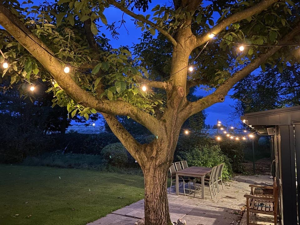 Night, Garden, Garden view