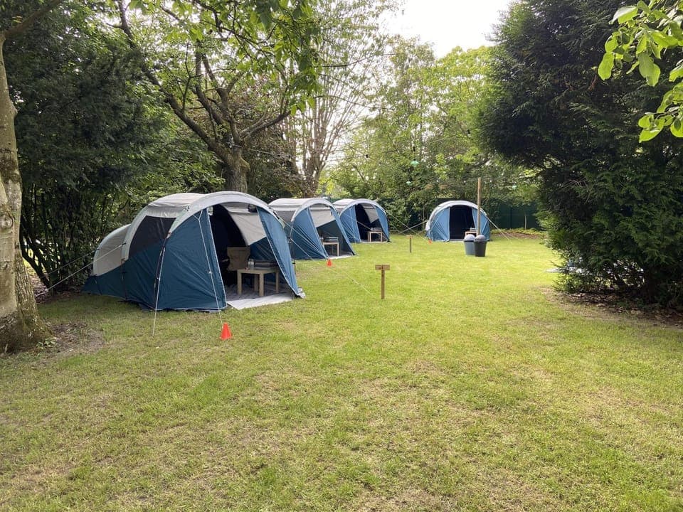 Day, Natural landscape, Garden