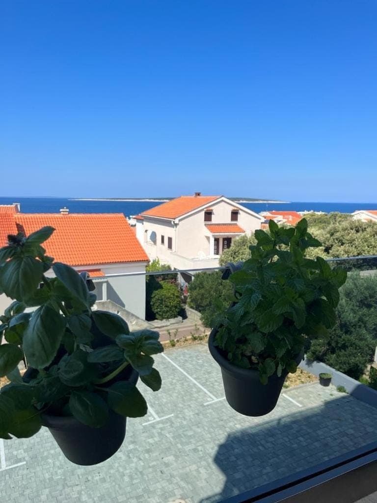 Sea view