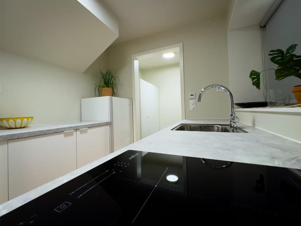 Kitchen or kitchenette, dishwasher, stove