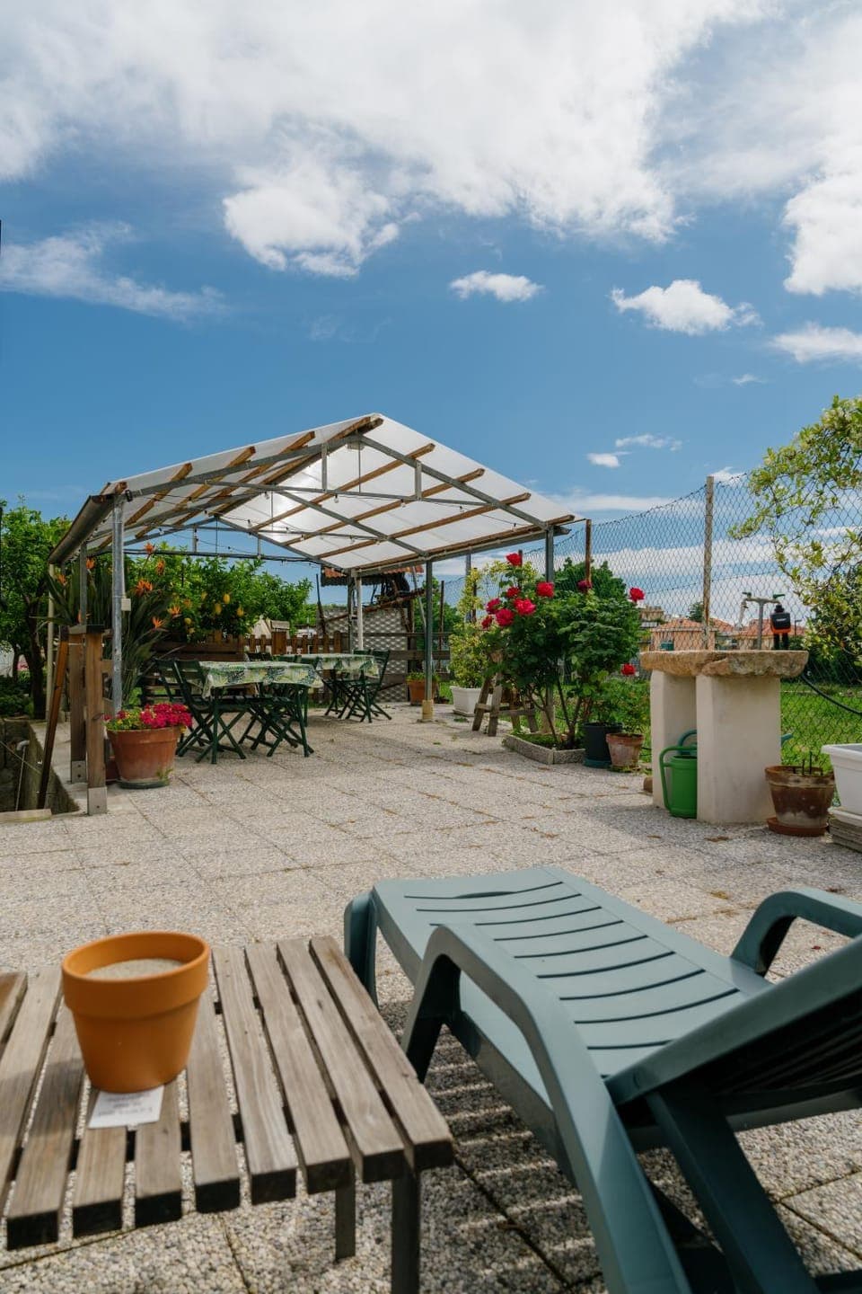 Garden, Garden view, furniture, sunbed