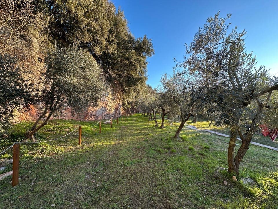 Natural landscape, Garden, Garden view