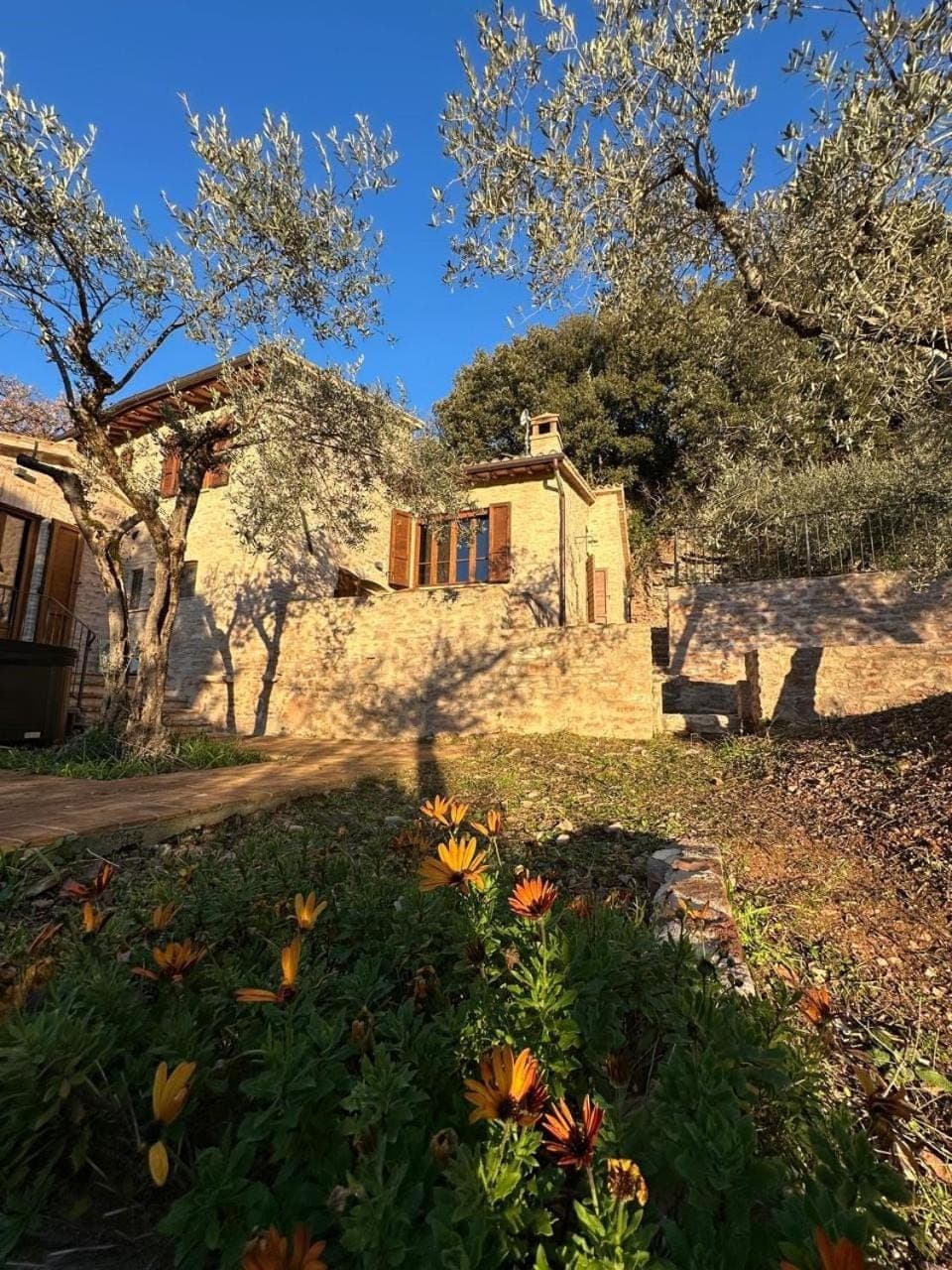 Property building, Garden, Garden view