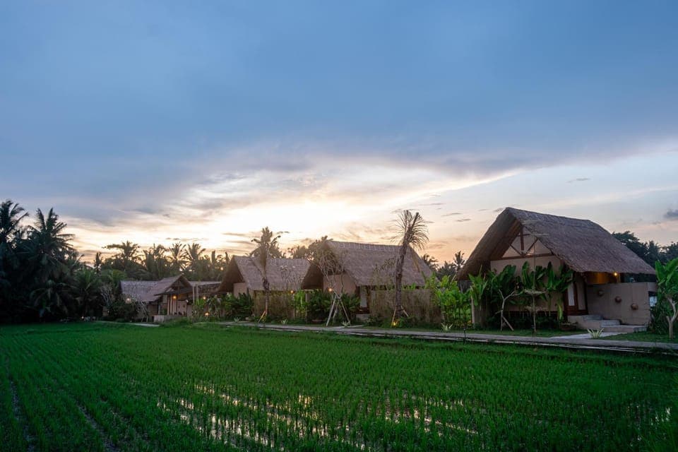 Property building, Spring, Day, Natural landscape, Garden, Garden, Garden view, Sunrise, Sunset