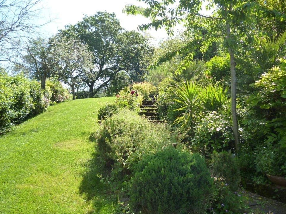 Spring, Day, Natural landscape, Garden, Garden view