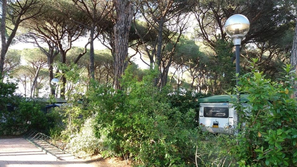 Day, Natural landscape, Garden, Garden view