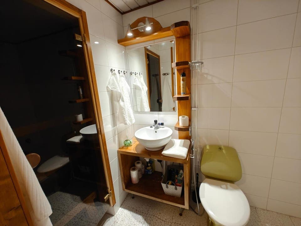 Bathroom, bidet, towels