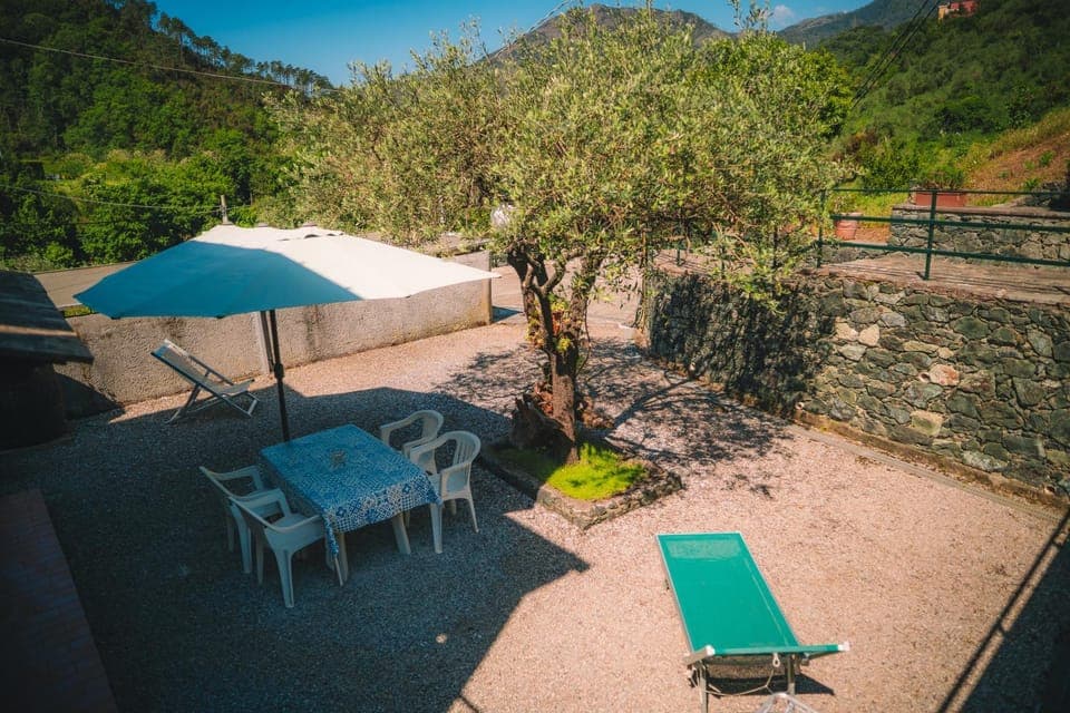Patio, Garden, Garden view