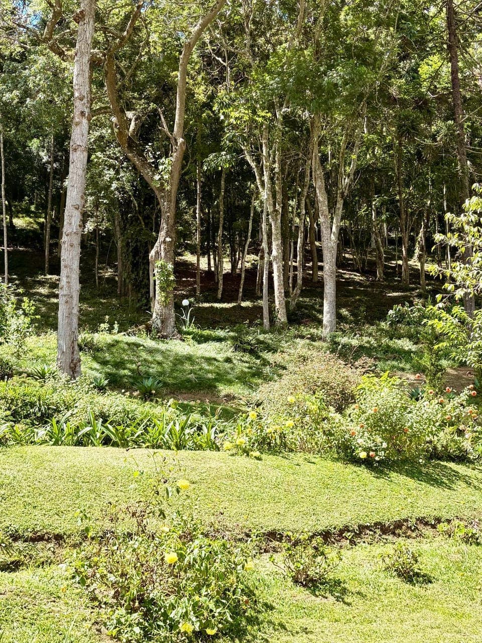 Garden, Garden, Garden view