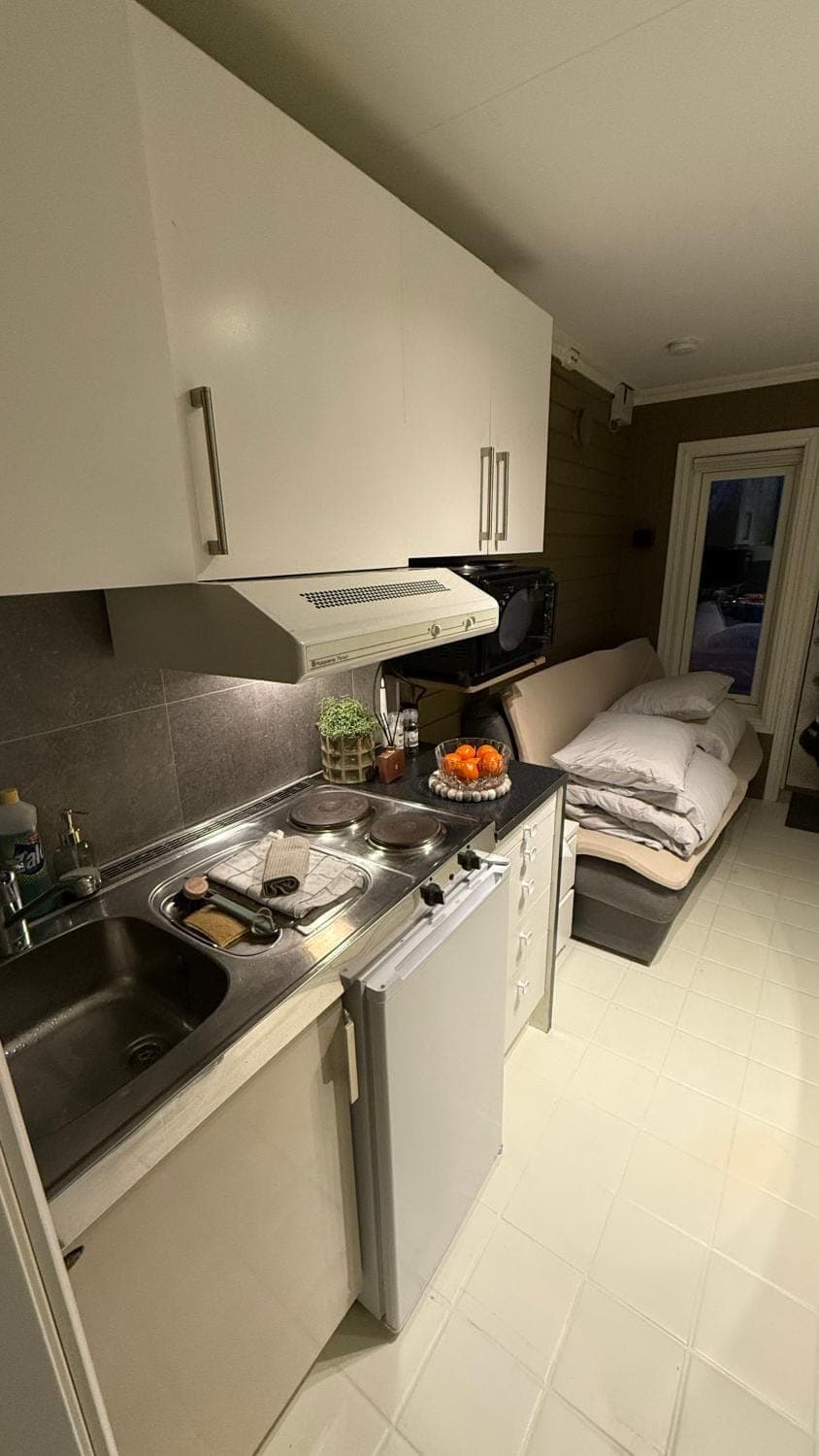 Kitchen or kitchenette, oven, stove