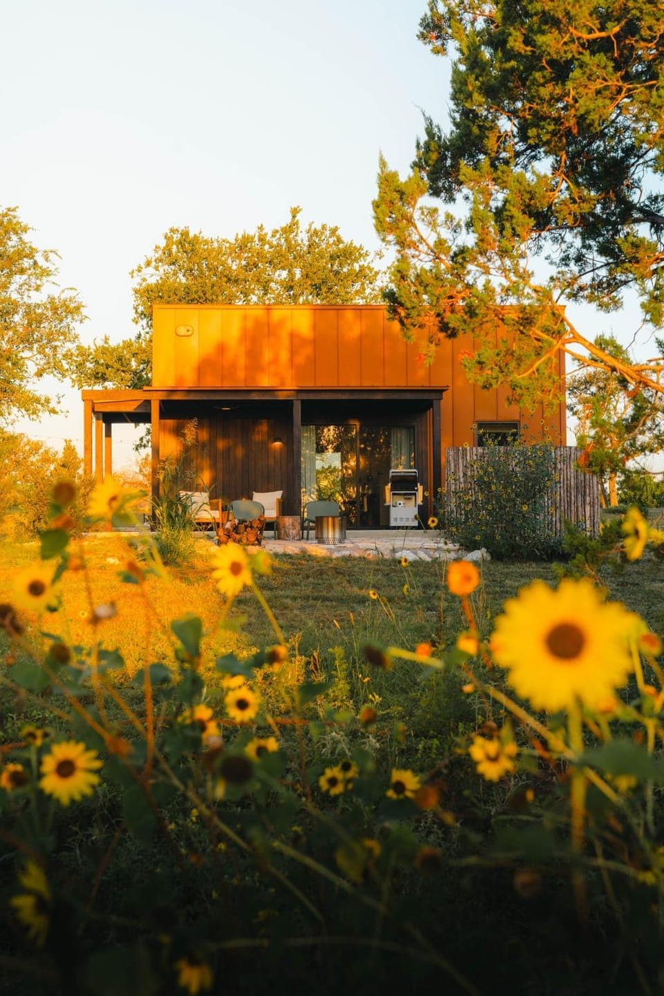 Natural landscape, Garden view