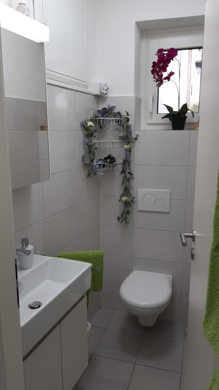 Shower, Toilet, hair dryier, towels