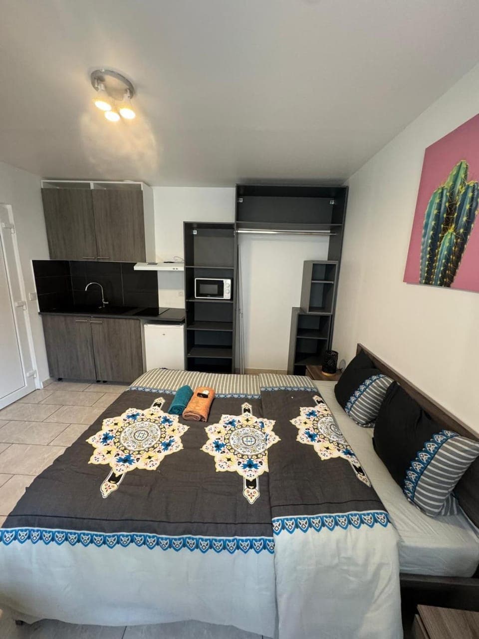 Bed, Kitchen or kitchenette, Photo of the whole room, oven, stove