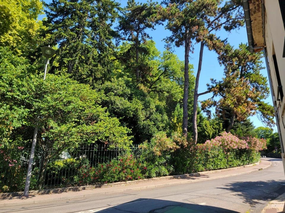 View (from property/room)