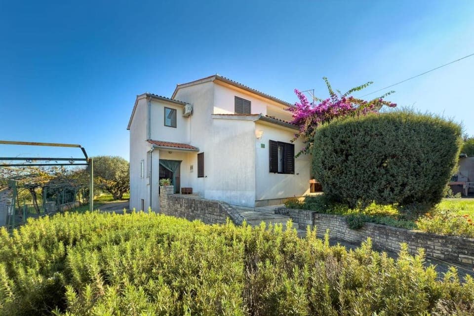 Property building, Spring, Day, Summer, Garden, Garden view