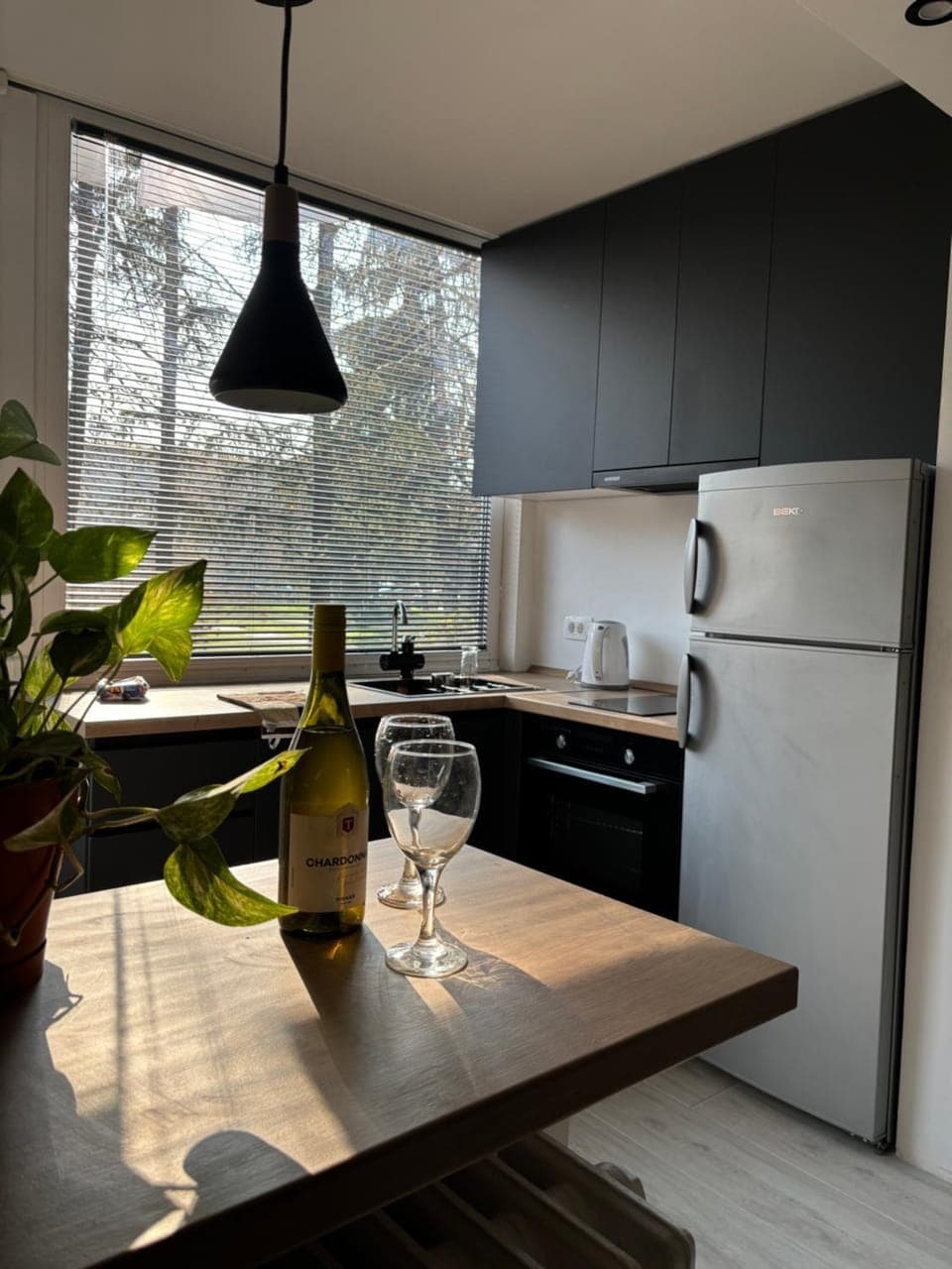 Kitchen or kitchenette, Dining area, dishwasher