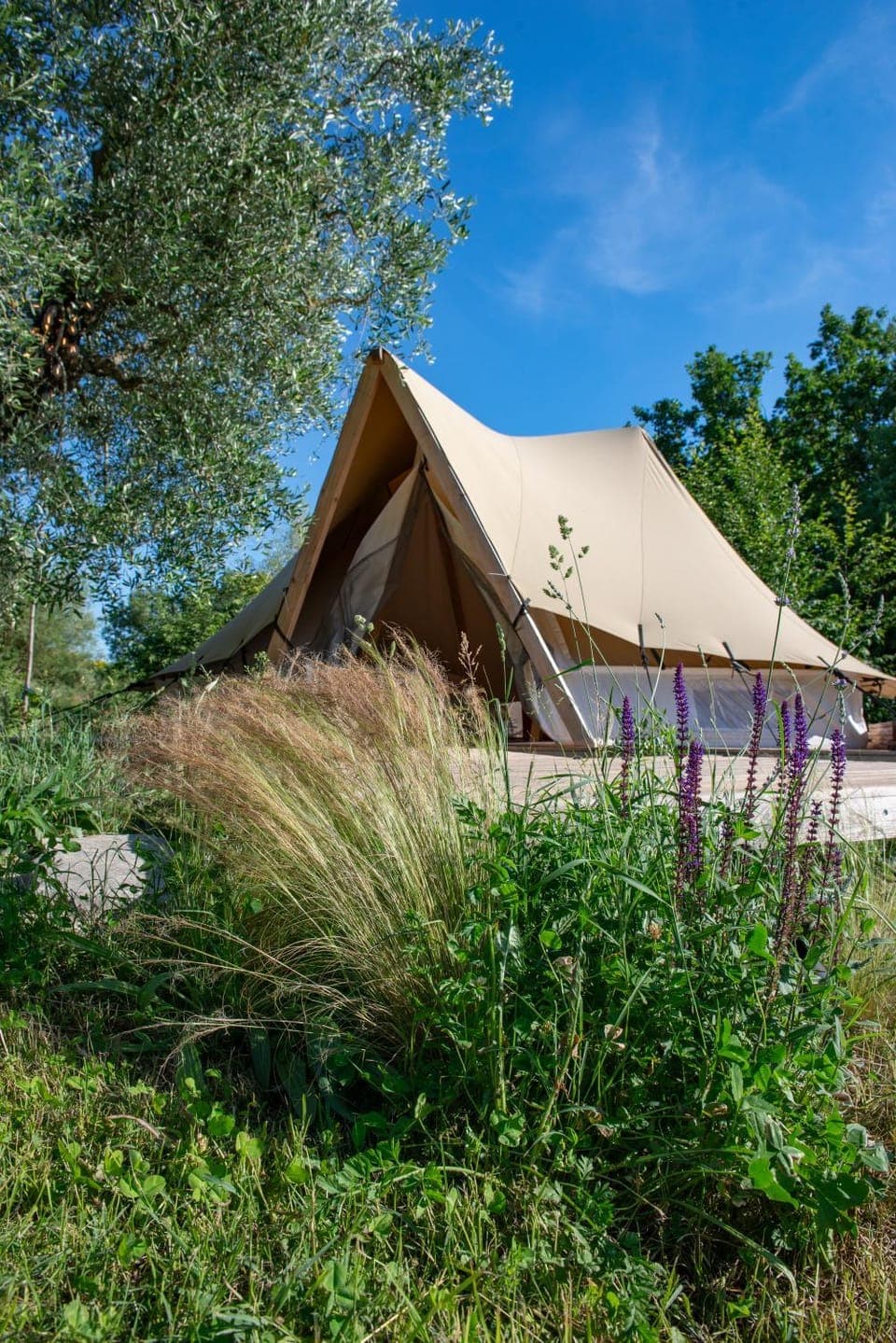 Property building, Day, Natural landscape, Garden, Garden view