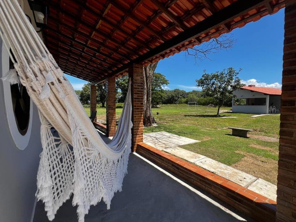Garden, Garden view, sunbed