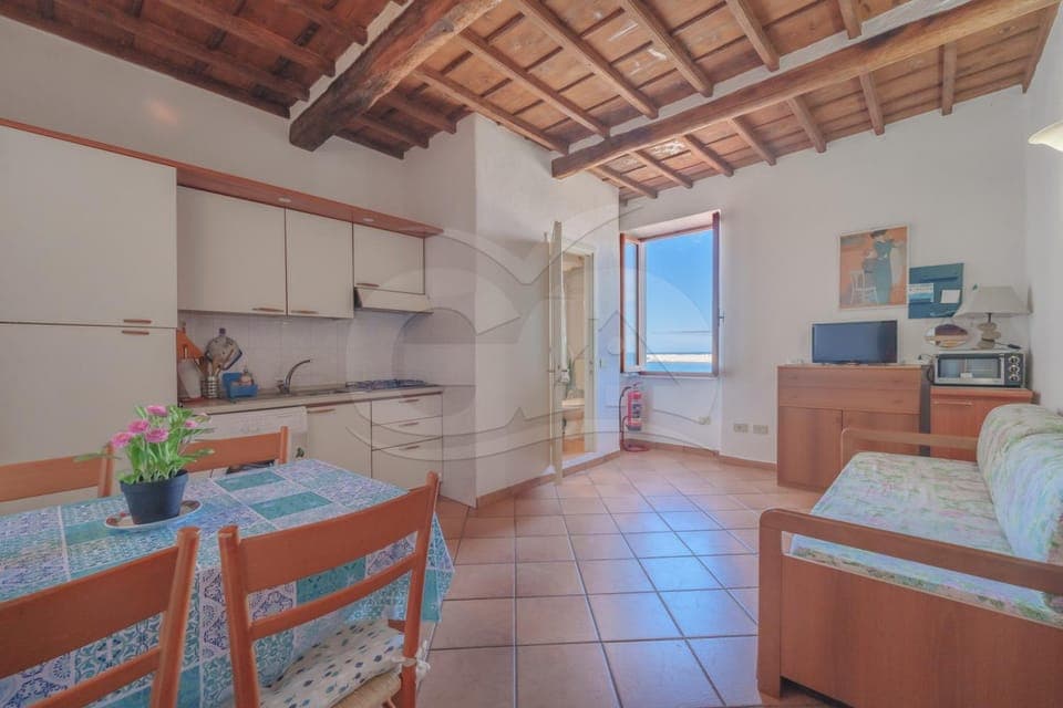 Bird's eye view, TV and multimedia, Kitchen or kitchenette, Living room, Dining area, microwave, stove