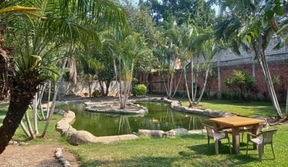 Patio, Spring, Natural landscape, Garden, Garden view