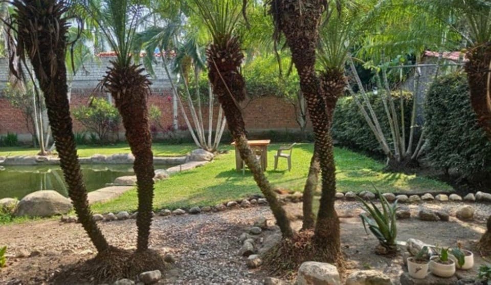 Spring, Day, Natural landscape, Garden, Garden view