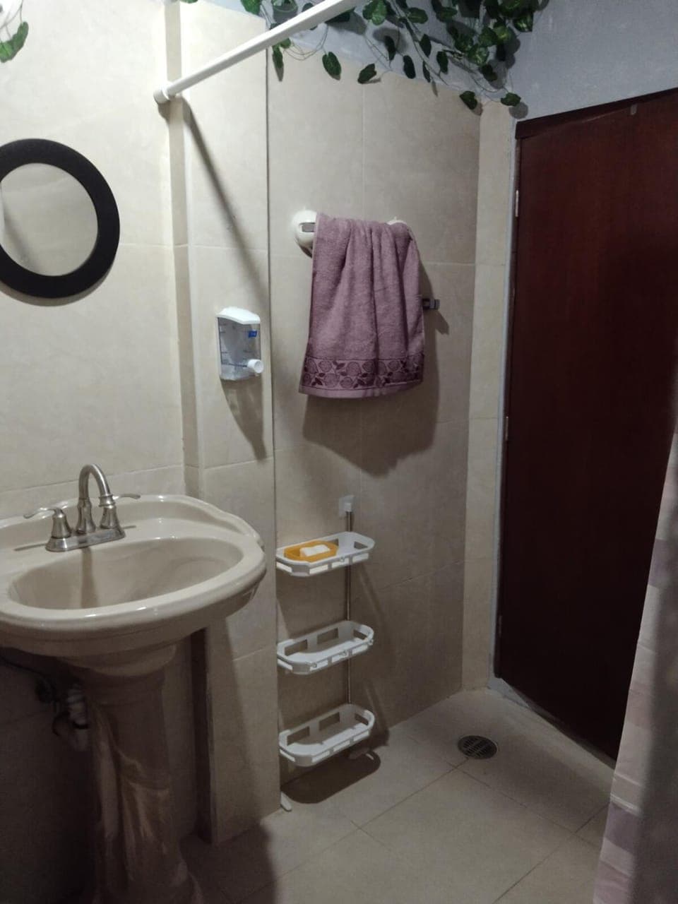 Shower, Toilet, towels