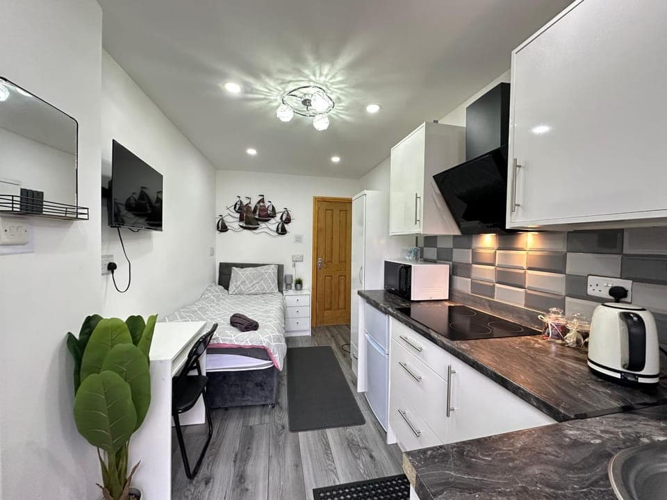 Bed, TV and multimedia, Coffee/tea facilities, Photo of the whole room, Dining area, Bedroom, oven, stove