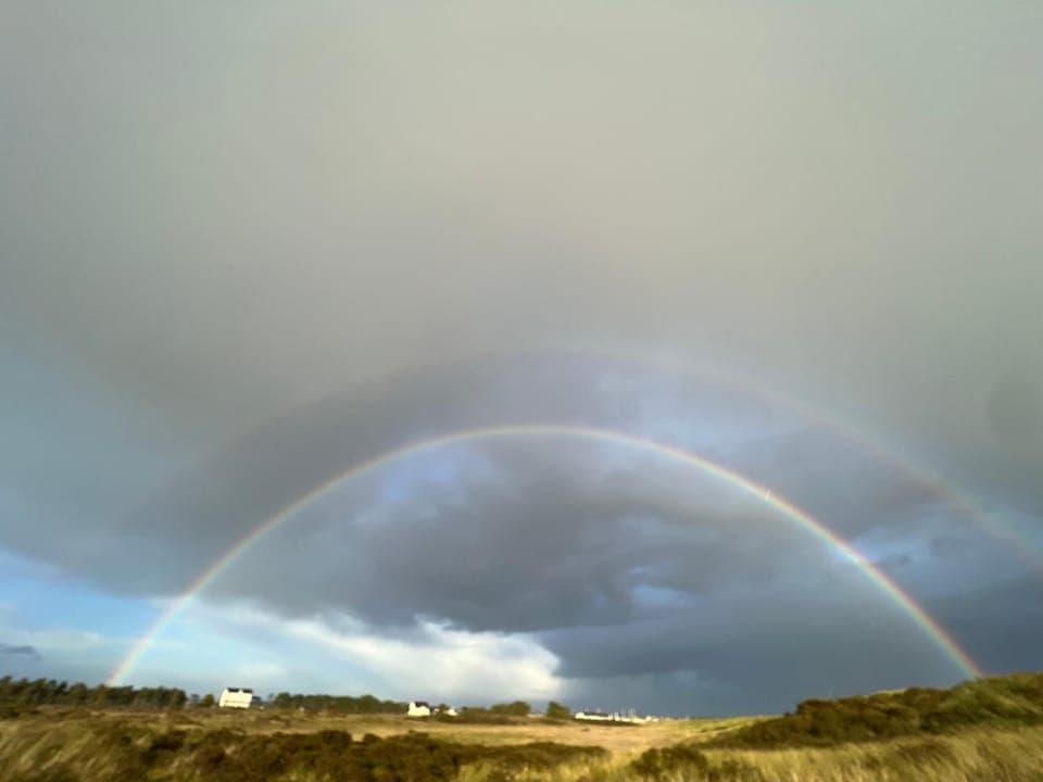 On site, Area and facilities