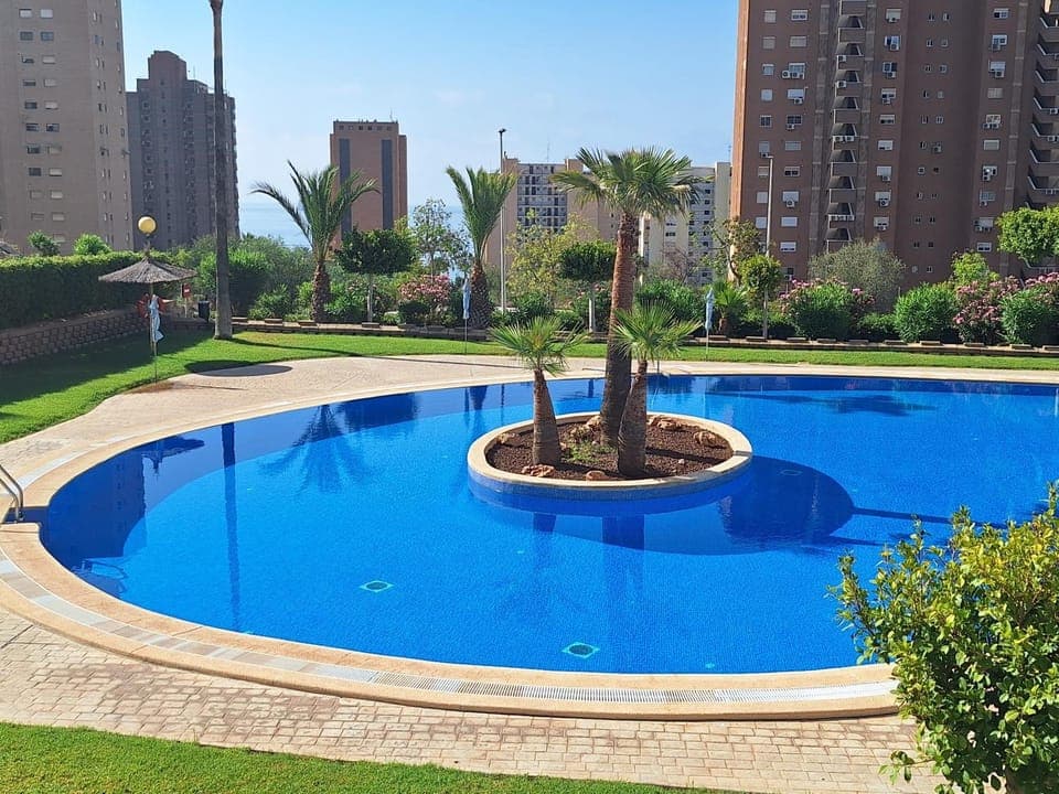 Garden, Swimming pool, Swimming pool
