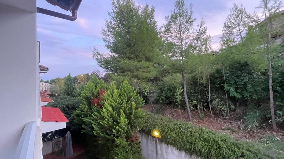 Day, Natural landscape, Garden