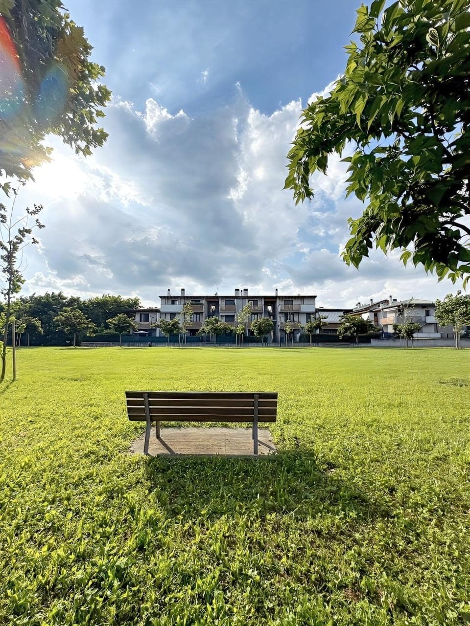 Natural landscape, Garden, Garden view