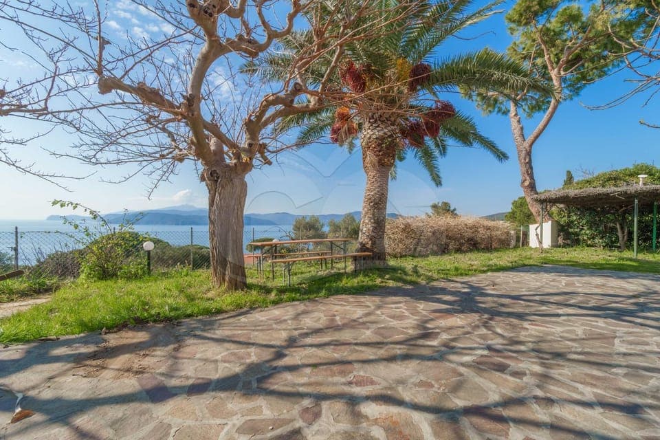 Natural landscape, Garden