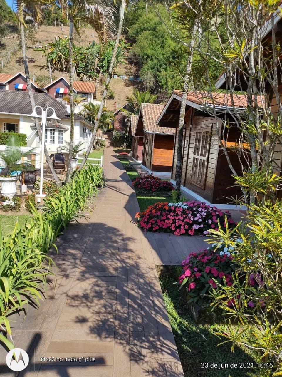 Property building, Natural landscape, Garden