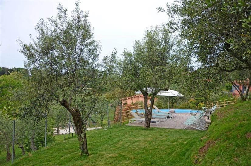 Garden, Swimming pool