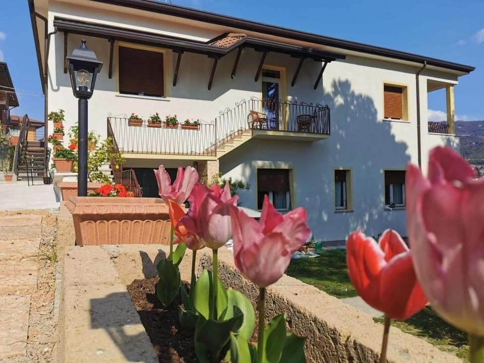 Property building, Garden, Balcony/Terrace