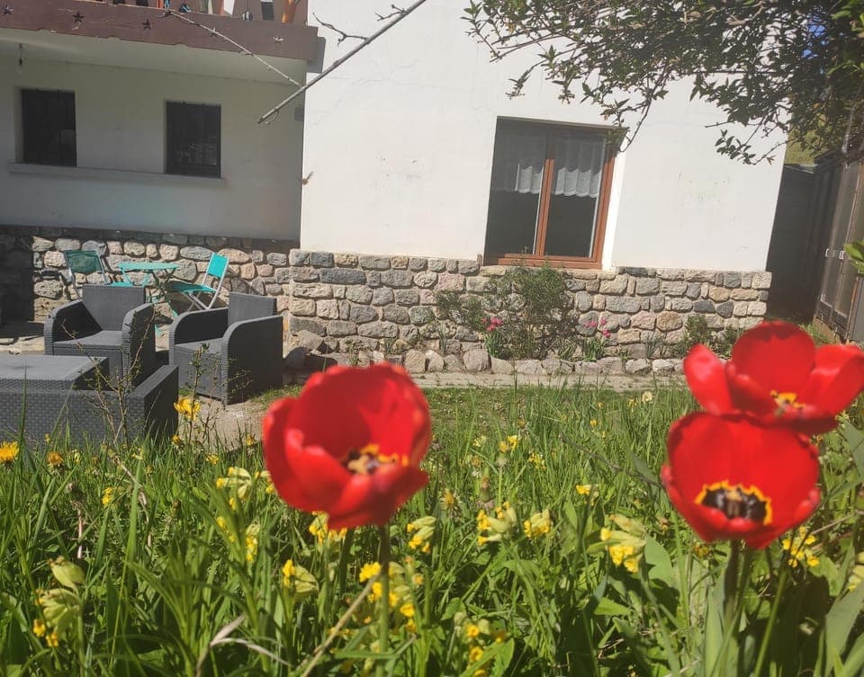 Patio, Patio, Spring, Garden, Garden, Skiing, Skiing, Garden view, Garden view, Mountain view, Mountain view