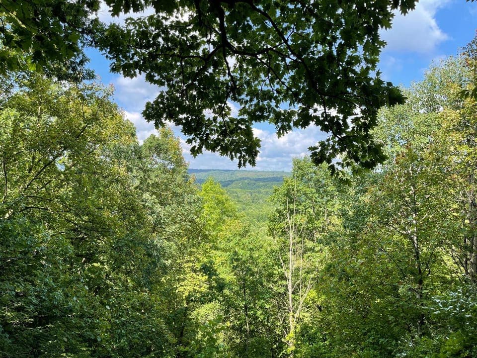 Natural landscape, View (from property/room)