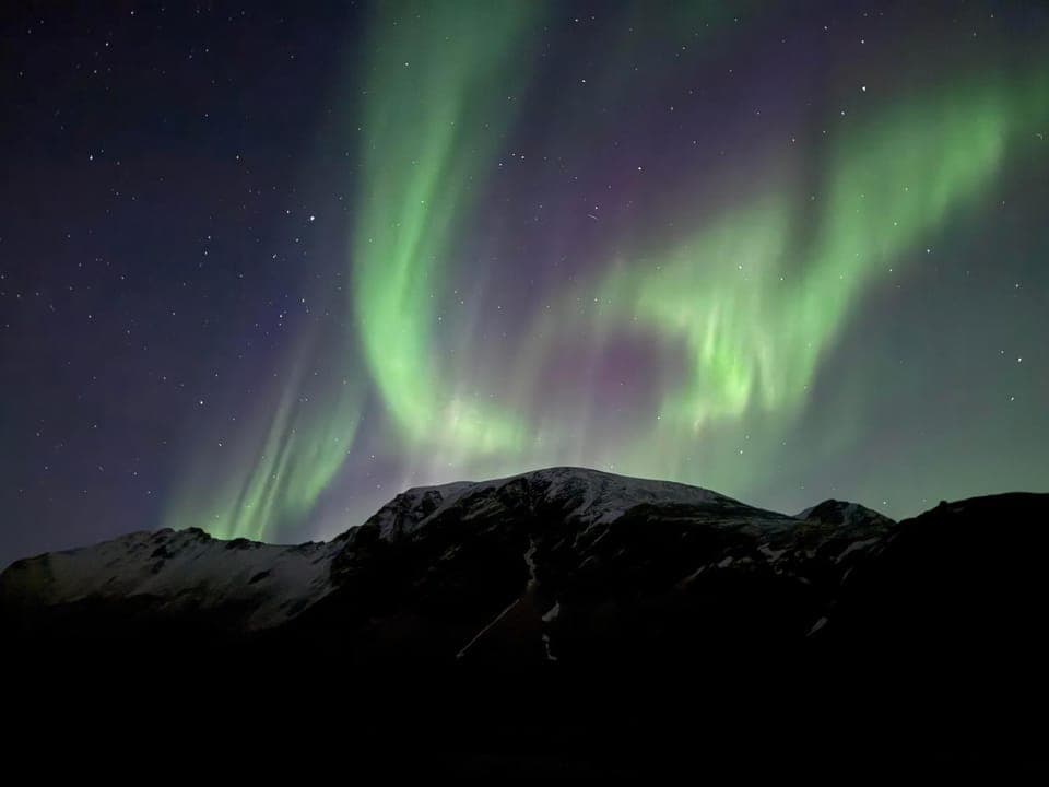 Wildlife Retreat Central Lofoten Chalet in Lofoten