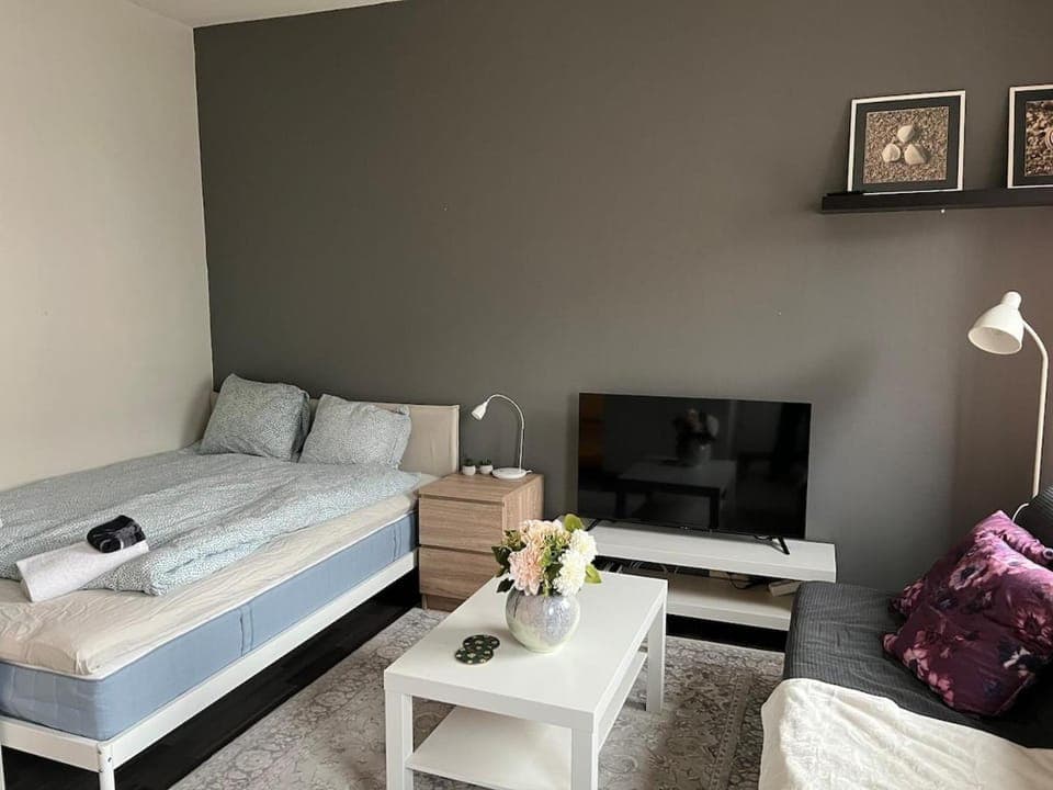 Kaarlelankatu Studio Apartment in Finland