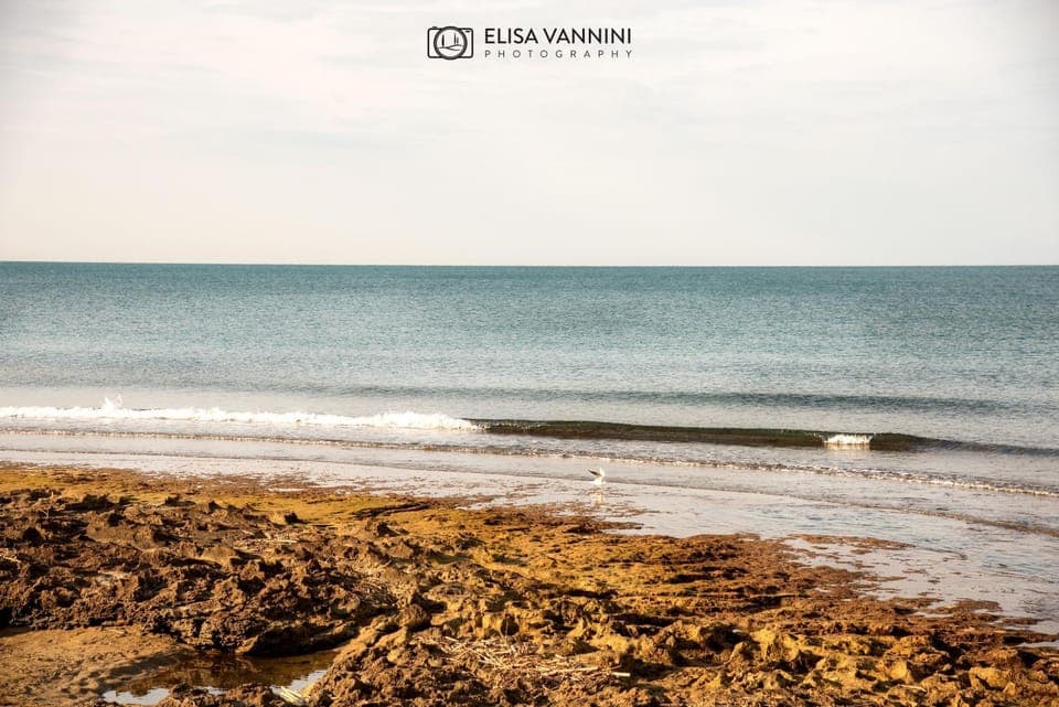 Natural landscape, Beach