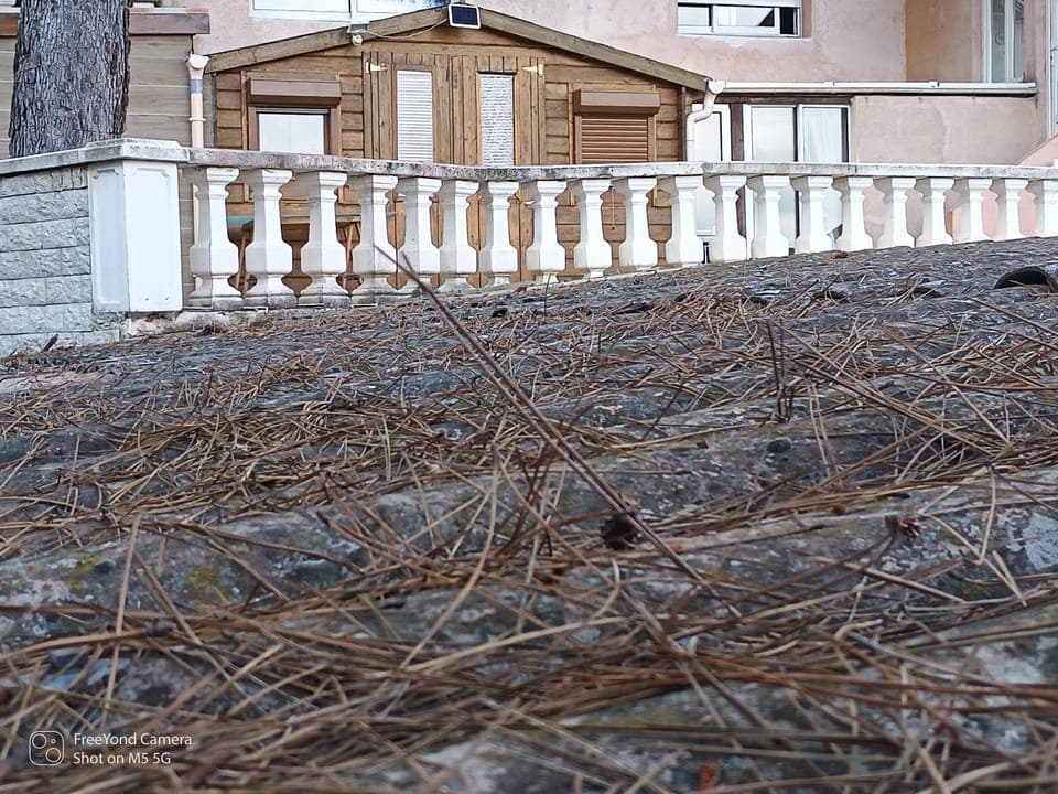 Property building, Day