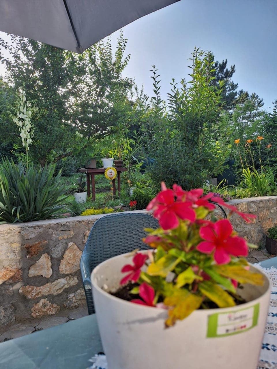 Spring, Day, Garden, Garden view