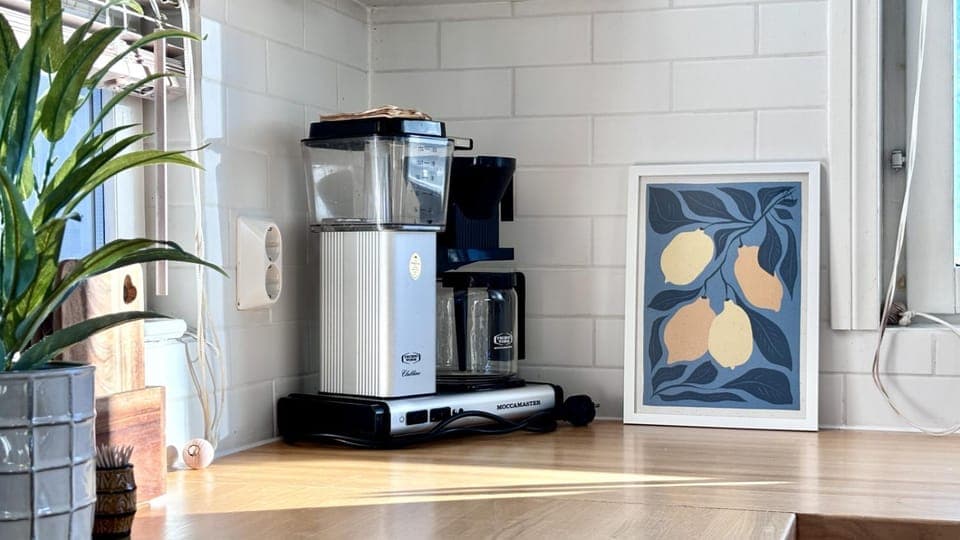 Coffee/tea facilities, Kitchen or kitchenette, oven