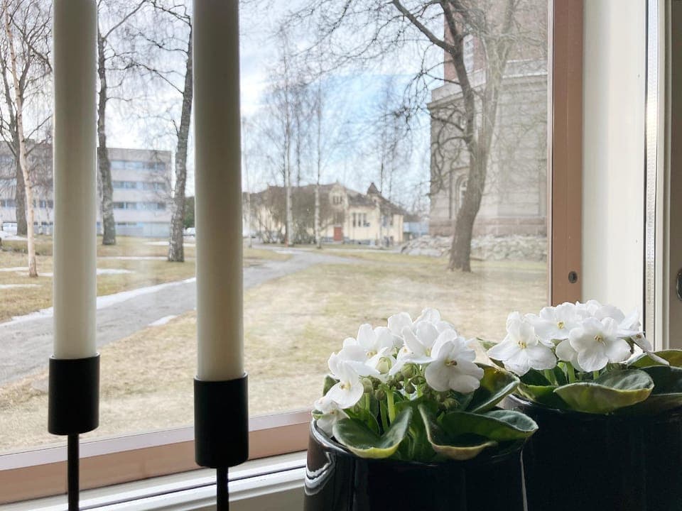 View (from property/room)