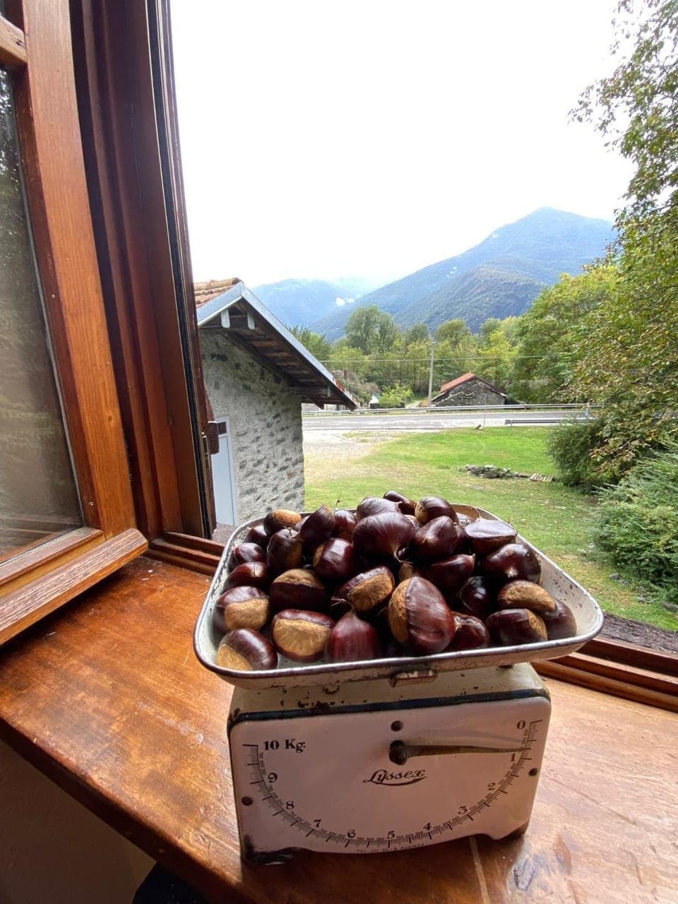 Garden view, Mountain view, Street view