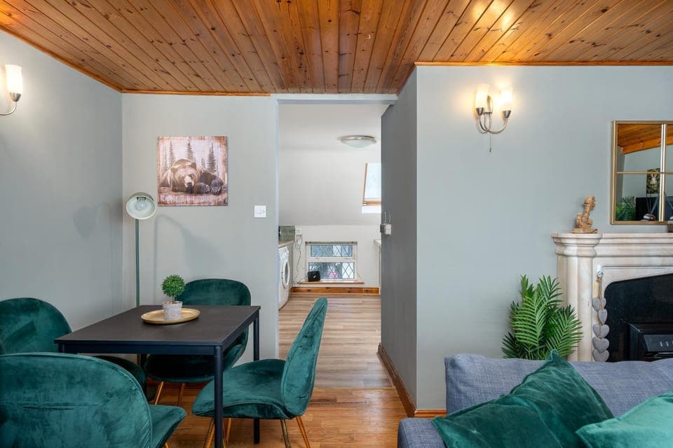 Shannon View Jungle House House in Athlone