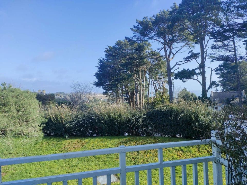 Spring, Day, Natural landscape, Garden view