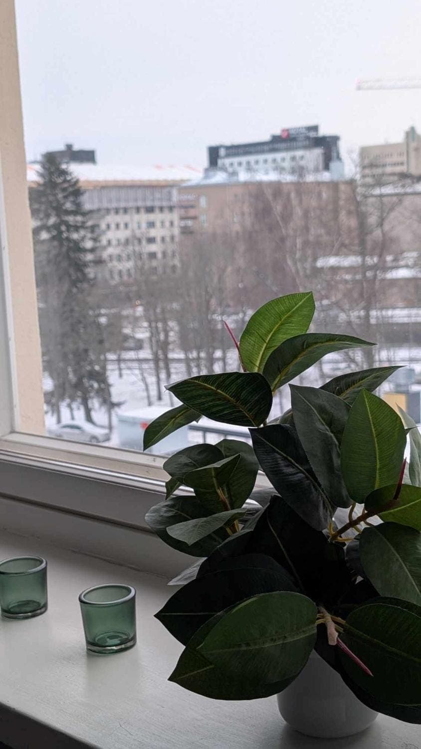 City view, City view