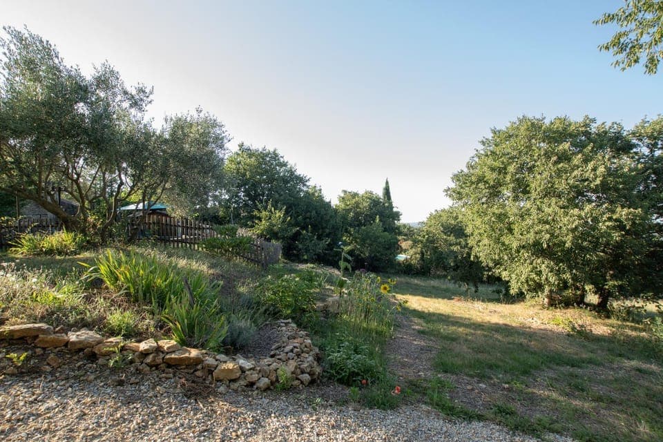 Spring, Natural landscape, Garden, Garden view