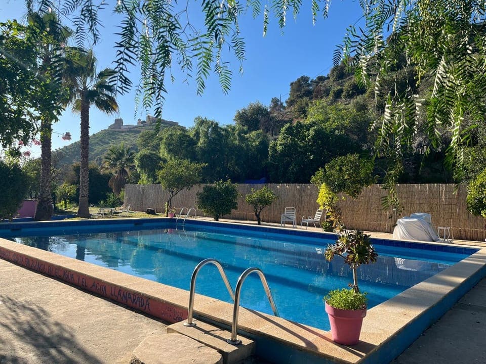 Garden, Garden view, Pool view, Swimming pool